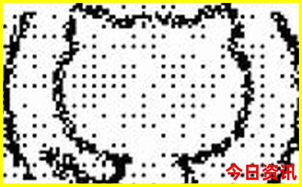 233669.com查询澳彩